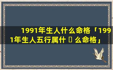 1991年生人什么命格「1991年生人五行属什 ☘ 么命格」